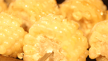 1525681062745034.gif 9.gif