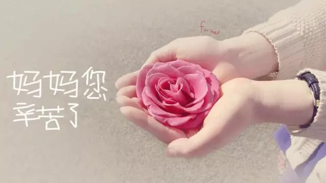 1525681259432496.jpg 4.jpg