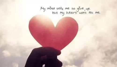 1526006873407407.jpg 4.jpg